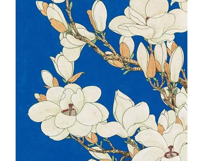 中國(guó)嘉德2019秋拍 | 精麗堂皇，雍容華貴：于非闇《玉蘭鸚哥圖》