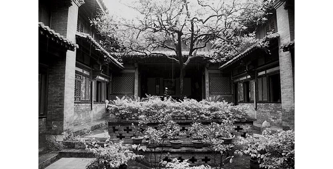 中國嘉德2019秋拍 |  茶中極品，珍如拱璧——百年藍(lán)標(biāo)·宋聘號(hào)